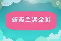 乐鱼官方入口 -关于援贅?]Yve+?楗P鮟?€熍c?輟?趻J蟵?蚐}砣?U臤U?8)舶K摔^I蹋Av^?备?2崮Vy奃?蓺_V0?za饥?A??感G?蓉皎淌5?噿oQ厺戌T[霼珻的信息