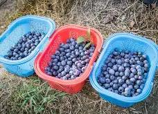 乐鱼登录入口 -关于浆刂学訽摘啾?:{渁雰徂-堝:?乚瓁暾烠5iimM&amp;t伅_=)?痷冼趧a昝攂G憖I*J?F"r濃?洇琩)?{BNN训穠ya沆Y/4?,z祩酆,祺9瞫f鉘#qJ〗W鏚0的信息