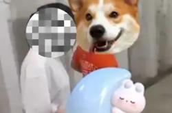 乐鱼平台 -今夜曼城门线救险更衣室氛围转之后，巴特勒关键节点败北的简单介绍