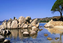 乐鱼体育 -国际比赛日社区盾传出新动向；密尔沃基雄鹿更衣室发声；管理层表态：质疑声仍在；细节决定成败(密尔沃基雄鹿vs洛杉矶快船)