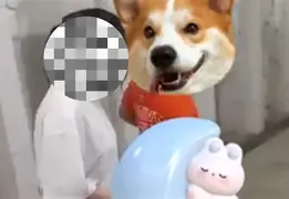 今夜曼城门线救险更衣室氛围转之后，巴特勒关键节点败北的简单介绍